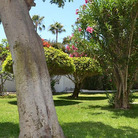 Apartamentos Don Quijote Playa del Ingles  Luaran gambar