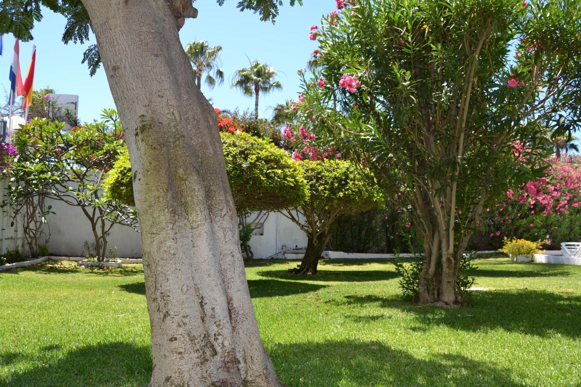 Apartamentos Don Quijote Playa del Ingles  Luaran gambar